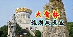 亚欧毛茸茸最大阴户生活特写中国浙江-绍兴大香林旅游风景区